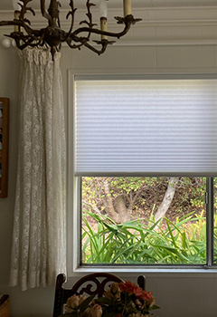 Honeycomb Cellular Shades in Concord