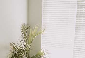 Venetian Blinds - Concord